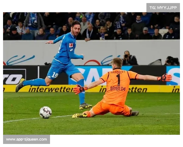 霍芬海姆主场战汉堡，主队伤病潮或成变数